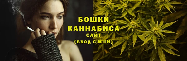 соль ск Арсеньев